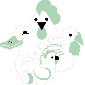 Aves